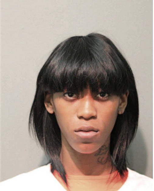 JAMIE S HAMILTON, Cook County, Illinois