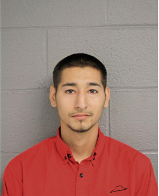 ALEJANDRO HERNANDEZ-GARCIA, Cook County, Illinois
