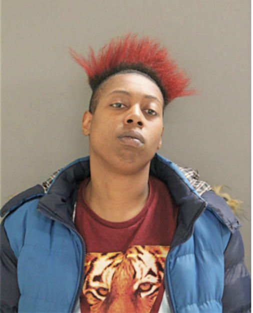 ROBBIN L HUNTER, Cook County, Illinois