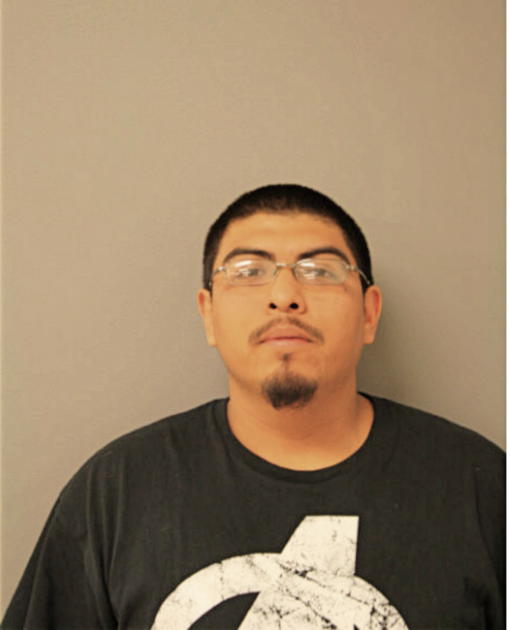 JOSE D LOZANO, Cook County, Illinois
