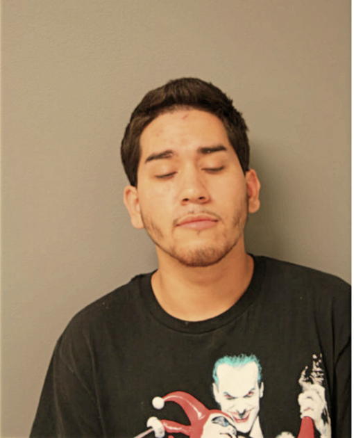 DAVID MENDEZ, Cook County, Illinois