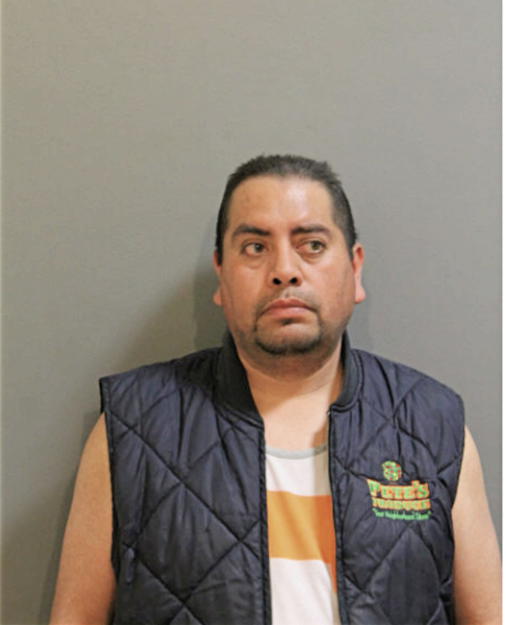 CARLOS MENDOZA-GARCIA, Cook County, Illinois