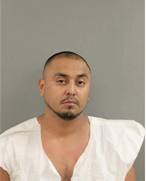 GUSTAVO A MENDOZA, Cook County, Illinois