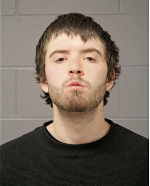 JAMES P NELSON, Cook County, Illinois