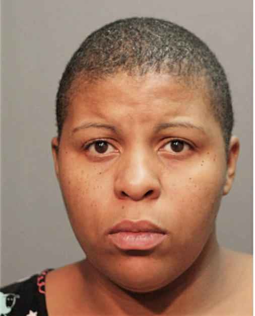 MELANIE T PUDER, Cook County, Illinois
