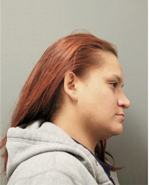 SAMATHA R SWIDER, Cook County, Illinois