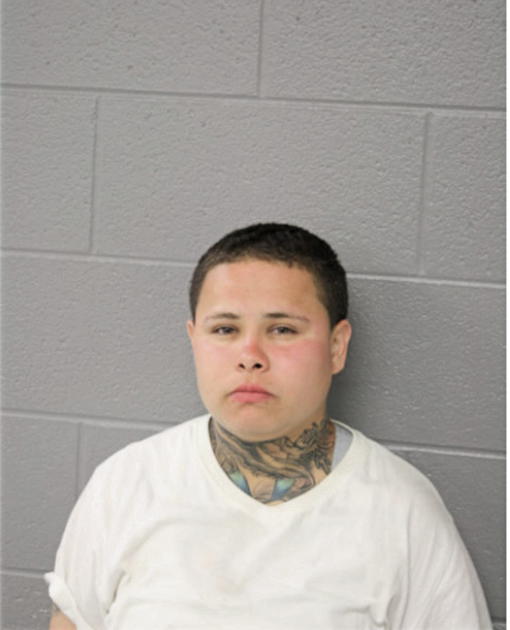 CAROLINA SOSA, Cook County, Illinois