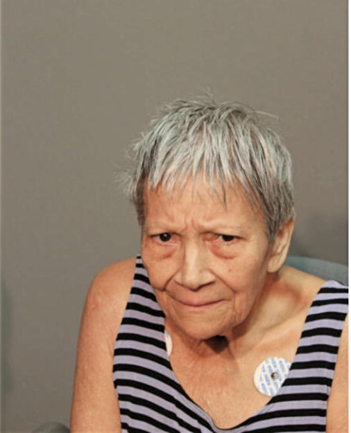 ISABEL VELAZQUEZ, Cook County, Illinois
