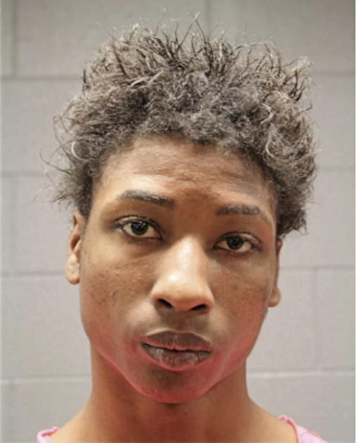 TIMOTHY J WRIGHT, Cook County, Illinois