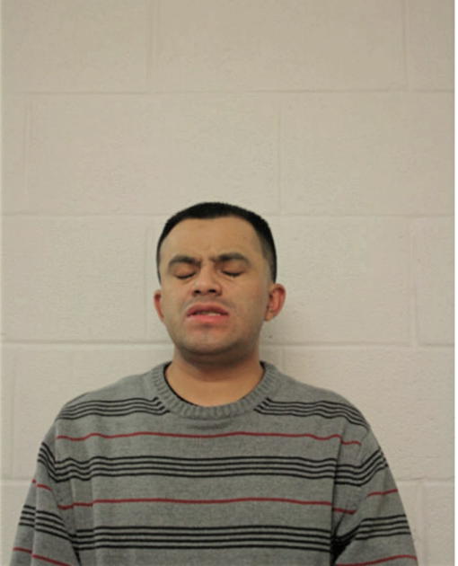 FREDY ALVARADO, Cook County, Illinois