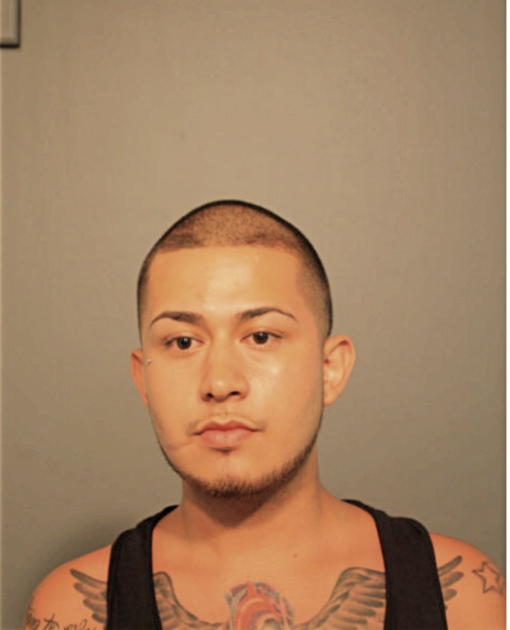 RAUL R ALVAREZ-RUIZ, Cook County, Illinois