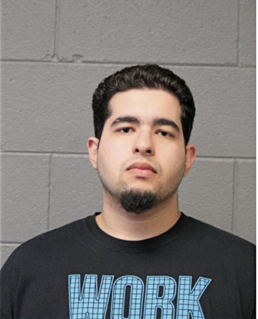 MINA M ASAAD, Cook County, Illinois