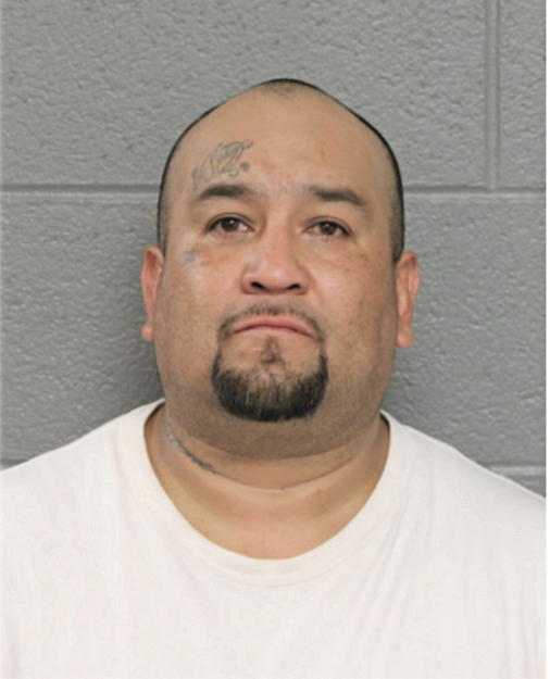 ALEX R BIJARRO, Cook County, Illinois