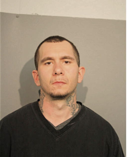 KYLE J CARCIONE, Cook County, Illinois