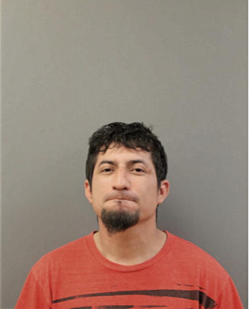 JACINTO CASTREJON, Cook County, Illinois