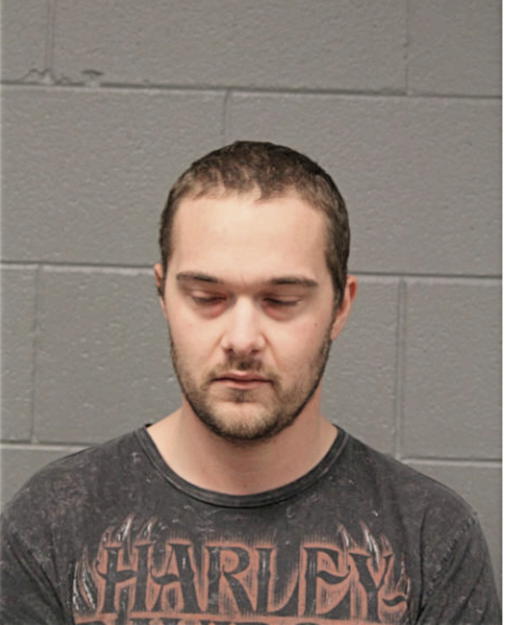 TIMOTHY J DANIELSON, Cook County, Illinois