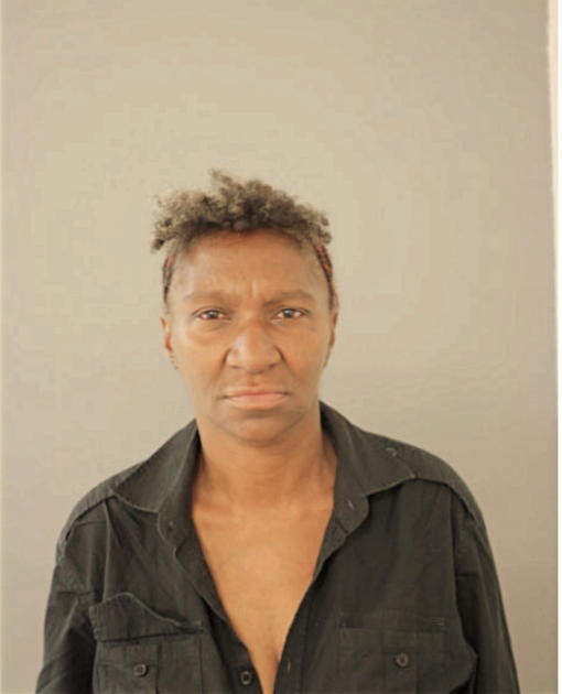 LAURA J ELLINGTON, Cook County, Illinois