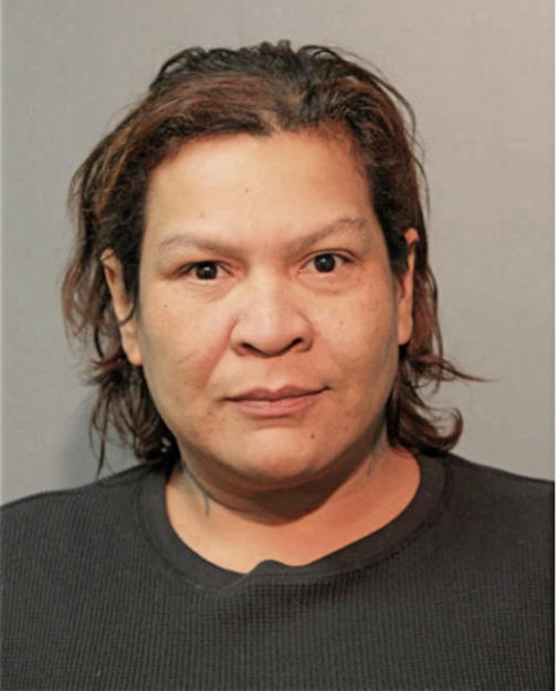 NITZA I FELICIANO, Cook County, Illinois