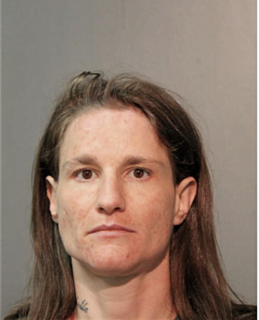 AMANDA C FRENDEN, Cook County, Illinois