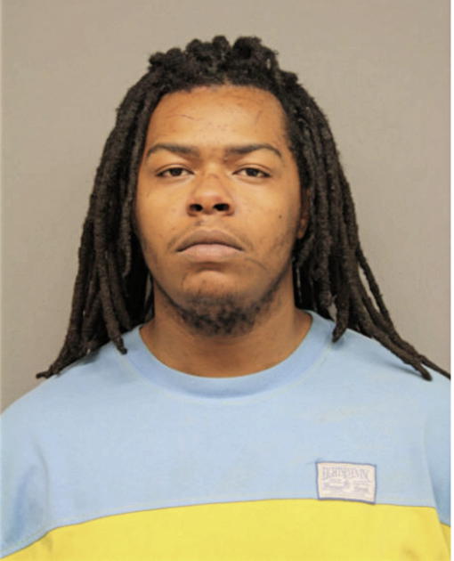 MICHAEL J FRIERSON, Cook County, Illinois