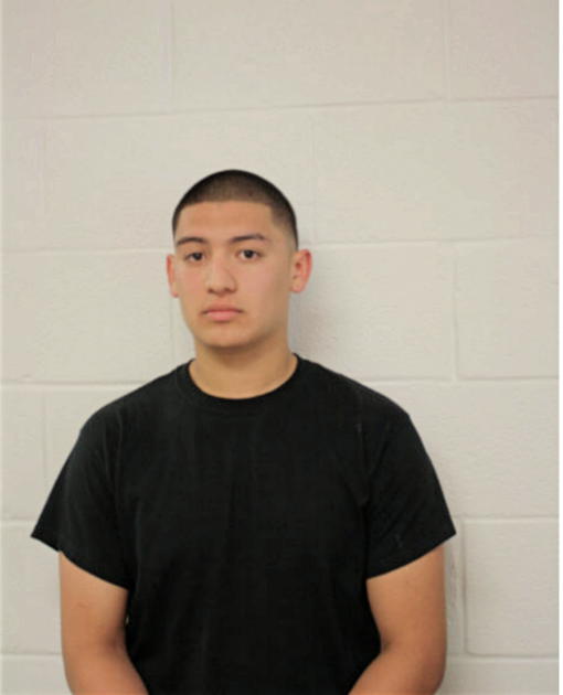 FRANCISCO J GARCIA, Cook County, Illinois