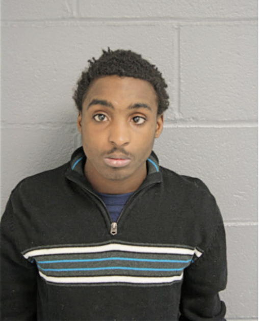 STEVEN D GUNN, Cook County, Illinois