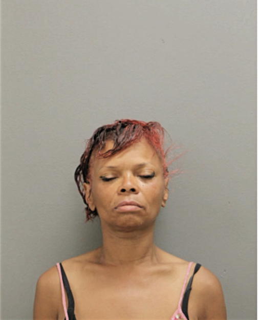 RHONDA A JACKSON, Cook County, Illinois