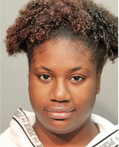 HEATHER J JENKINS, Cook County, Illinois