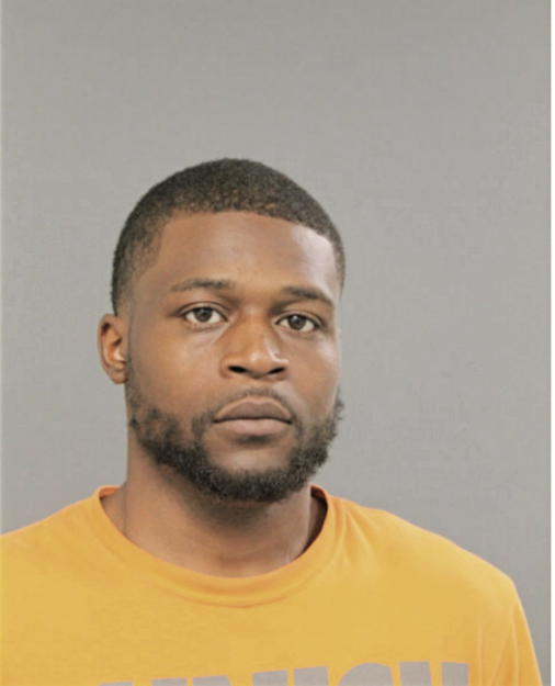 LASHAWN E LEWIS, Cook County, Illinois