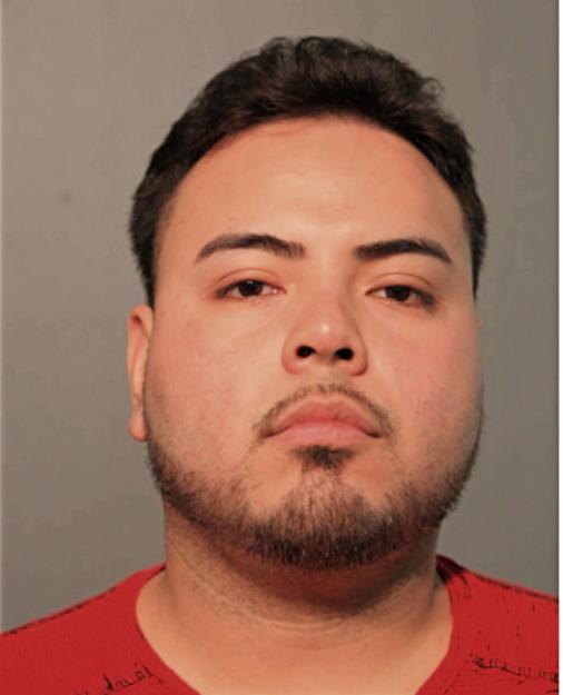 LUIS A LINARES, Cook County, Illinois