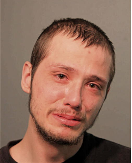 TERRY MIKKELSON, Cook County, Illinois