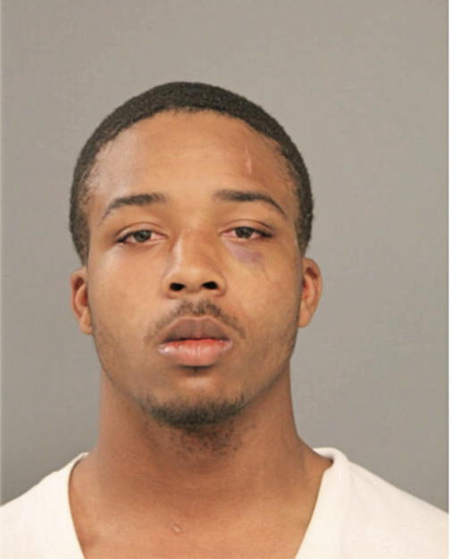 TERRELL MITCHEM, Cook County, Illinois