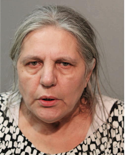 MIRSADA MUJDANOVIC, Cook County, Illinois
