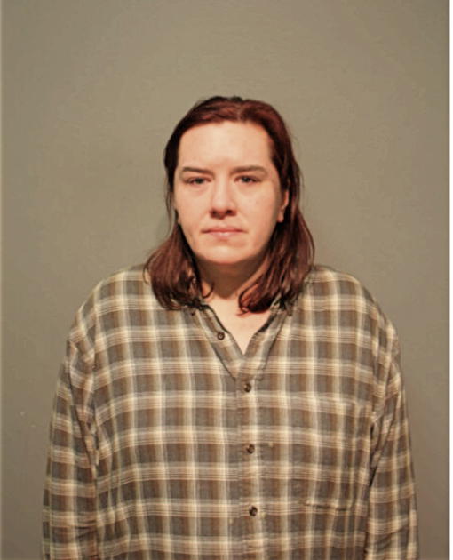 ELIZABETH E OWENS, Cook County, Illinois
