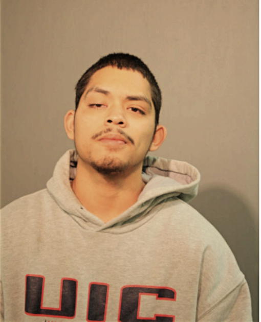 CARLOS R ALEGRIA, Cook County, Illinois
