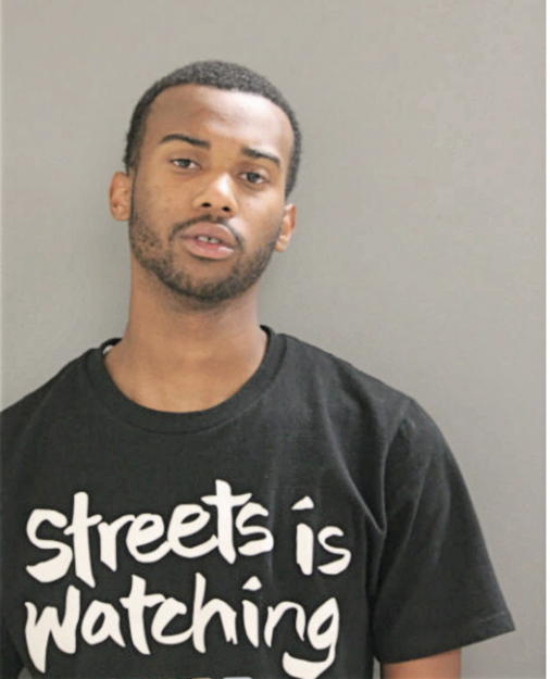 TERRY L STEPHENS, Cook County, Illinois
