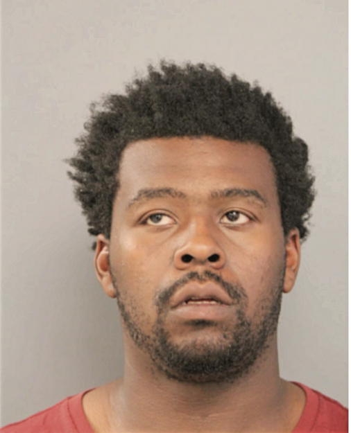 PIERRE T WILLIAMSON, Cook County, Illinois