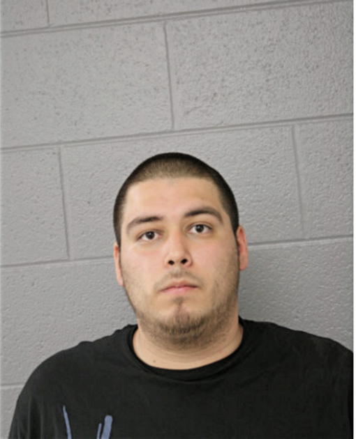 JULIO C ALMAZAN, Cook County, Illinois