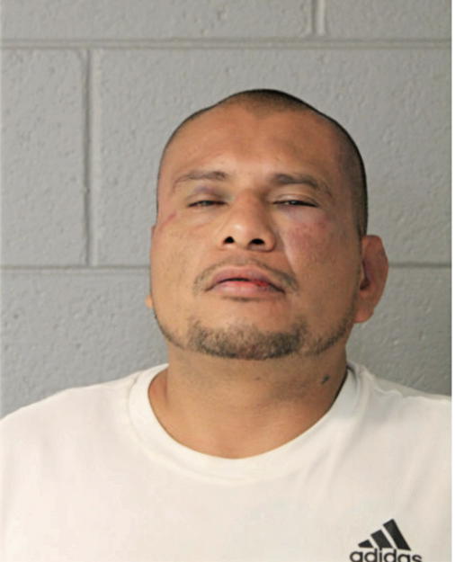 NOEL D BALBUENA, Cook County, Illinois