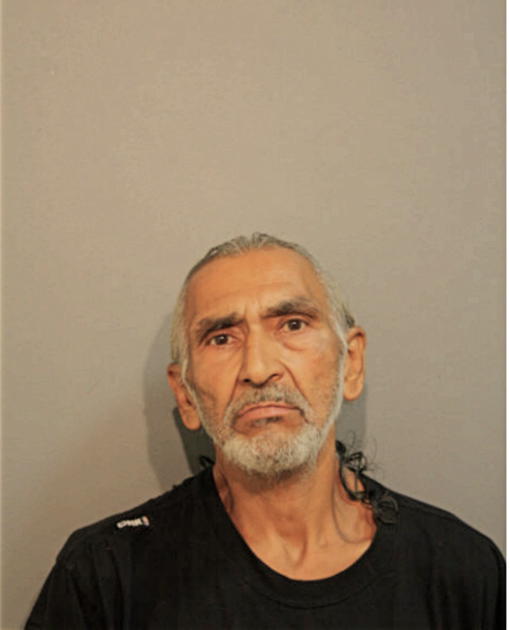 SALVADOR CASARES, Cook County, Illinois