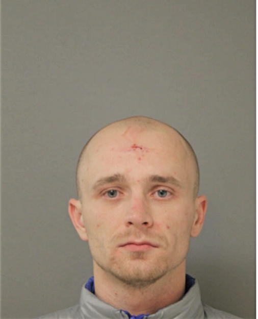SERGHEI CEBAN, Cook County, Illinois