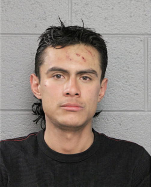 JAVIER CHAVEZ, Cook County, Illinois