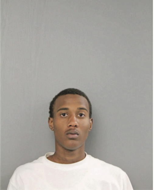 LAMOETA J FOSTER, Cook County, Illinois