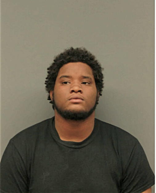TERRELL E GRAY, Cook County, Illinois