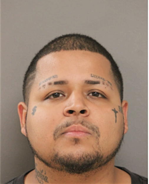 AMPARO GUZMAN, Cook County, Illinois