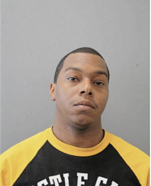 BRANDON L HARVEY, Cook County, Illinois