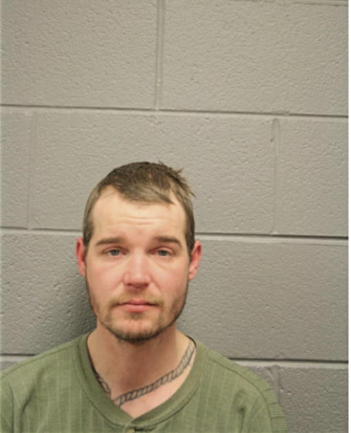 MARK G HENIFF, Cook County, Illinois