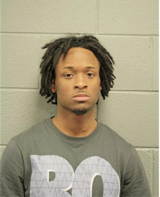 BRIAN R HUNT, Cook County, Illinois