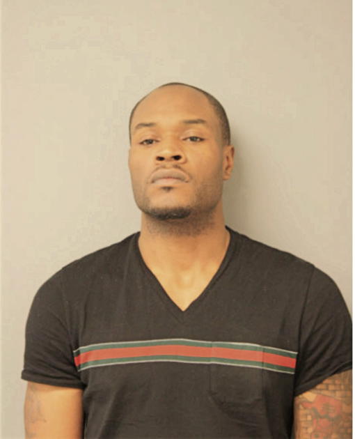 DAVID L JOHNSON, Cook County, Illinois