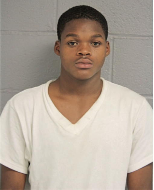 TYRICE L JOHNSON, Cook County, Illinois